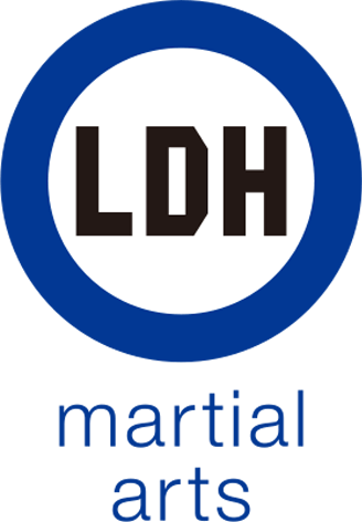 LDH martial arts