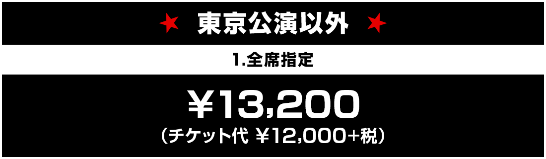 ���������ȊO �S�Ȏw�聏13,200